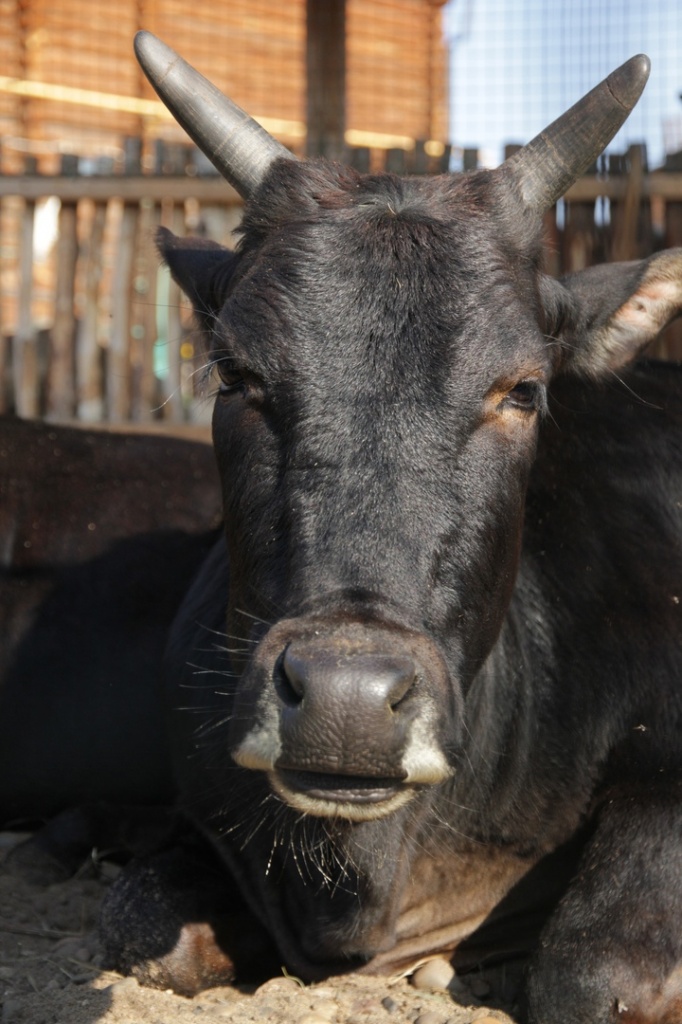 ������ 3.jpg